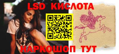 стафф Гай