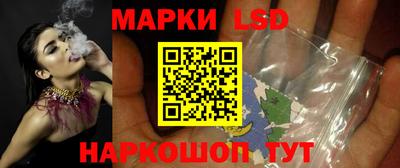 стафф Гай