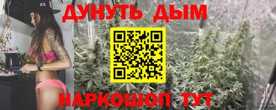 стафф Гай