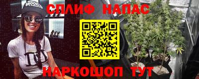стафф Гай