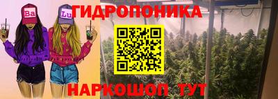 a pvp Гагарин