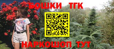 стафф Гай