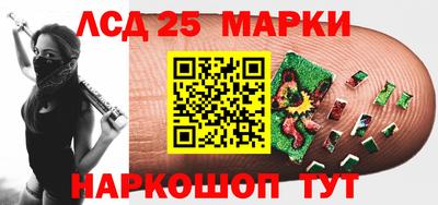 стафф Гай