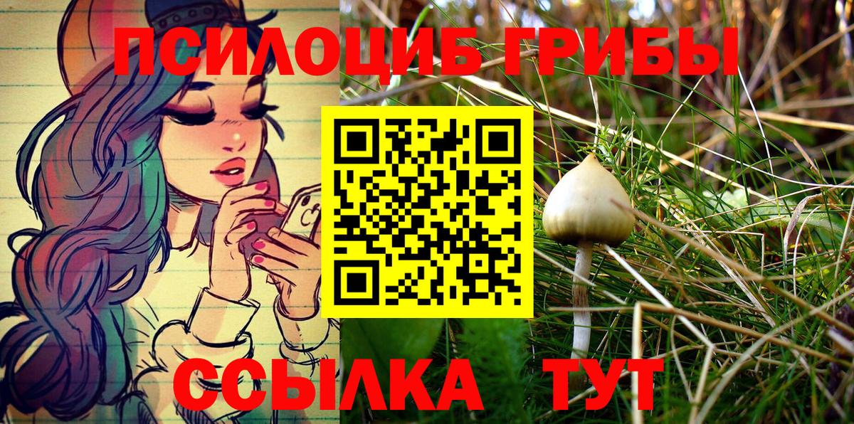 Псилоцибиновые грибы Magic Shrooms Орехово-Зуево
