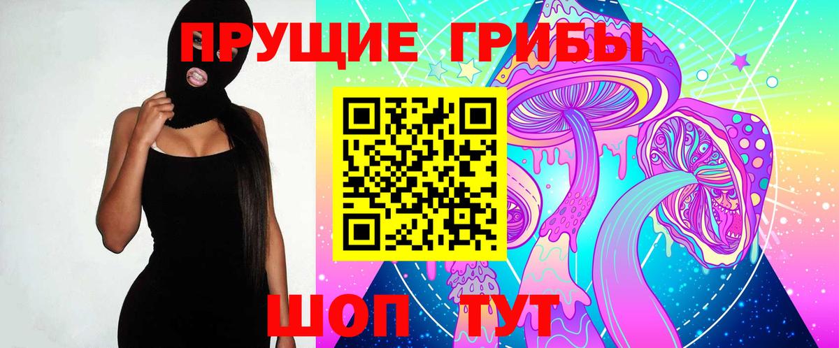 Орехово-Зуево  Галлюциногенные грибы Psilocybine cubensis  Вход с VPN 